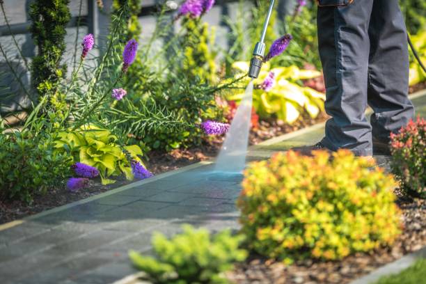 Best Spring Cleaning  in Harrison, WI